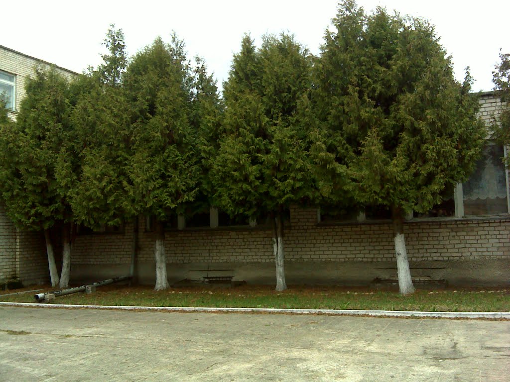 Свислочь