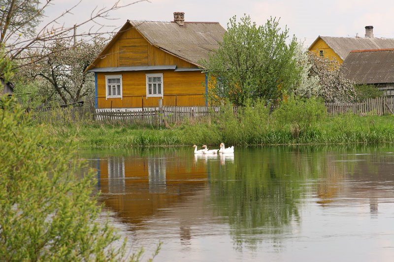 Schara river