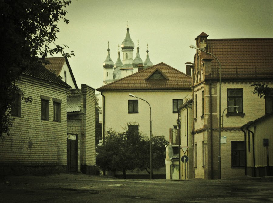 Zhirovichi