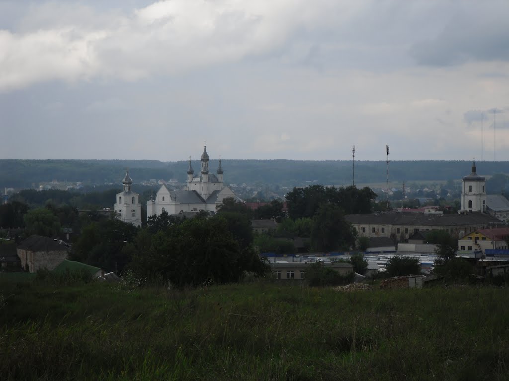 Слоним