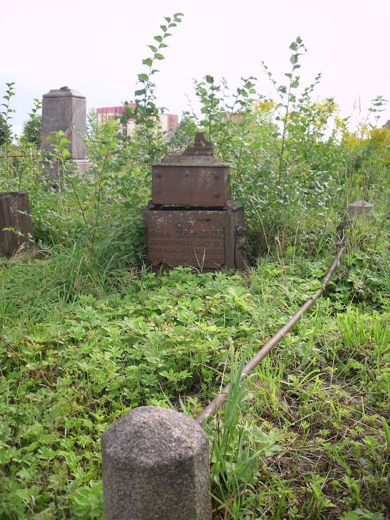 Старая польская могила