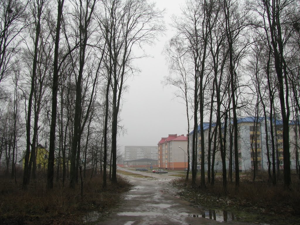Тропа от станции. The trail from the station.