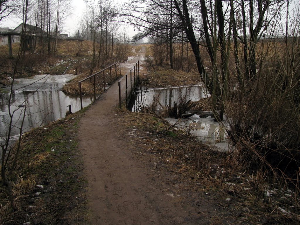 Пешеходный мост. Река Оксна. Footbridge. Oksna river.