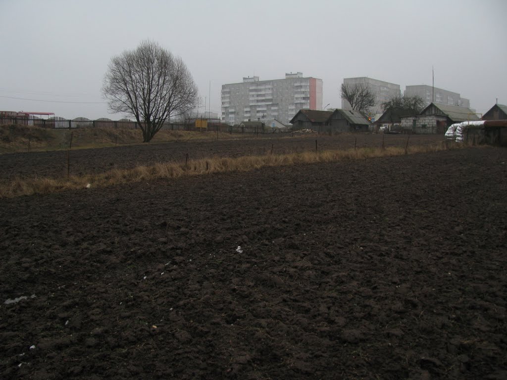 Поле. Сморгонь.