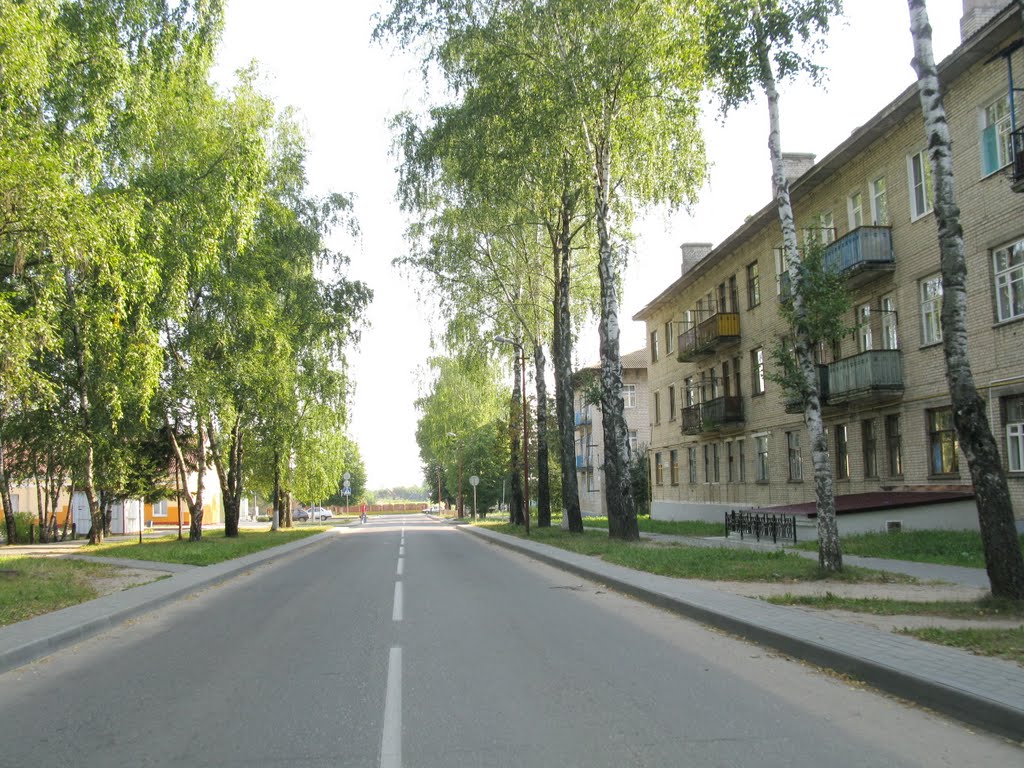 in the microdistrict "Zapadny"