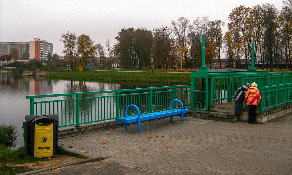 Масток з грэбляй на гарадскім азярцы (Small bridge with a dam  on city pond)