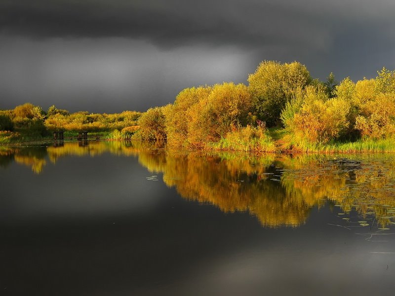 перед грозой