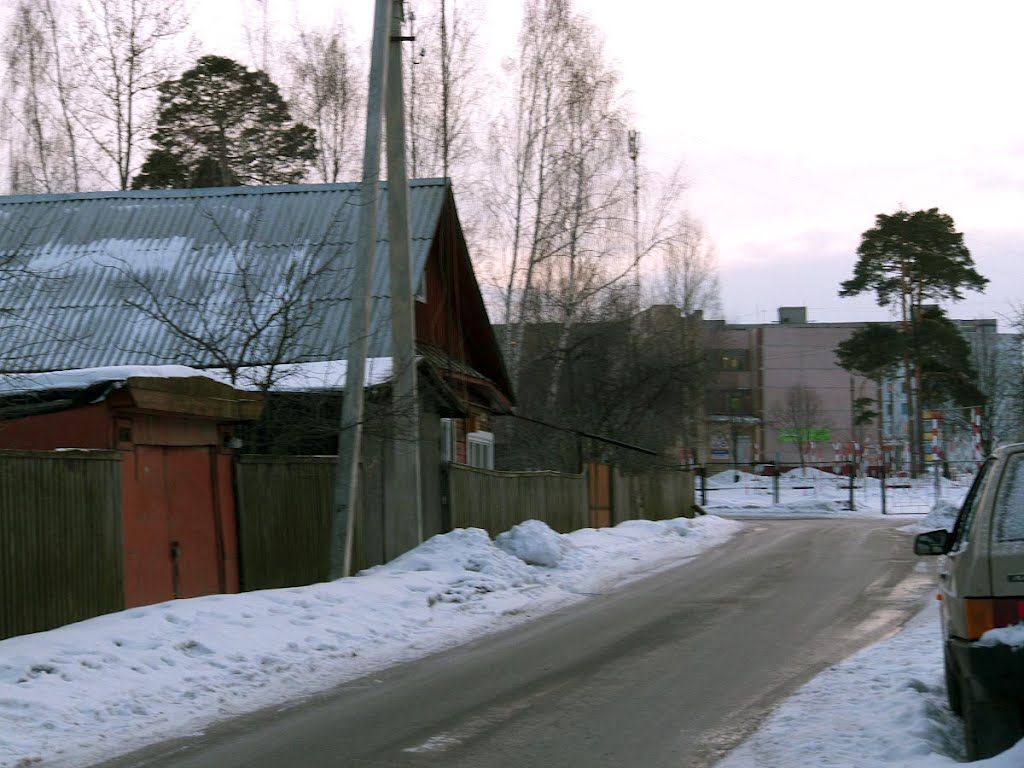 Kosmodemianskoj str., Borisov, Belarus, 05-03-2012