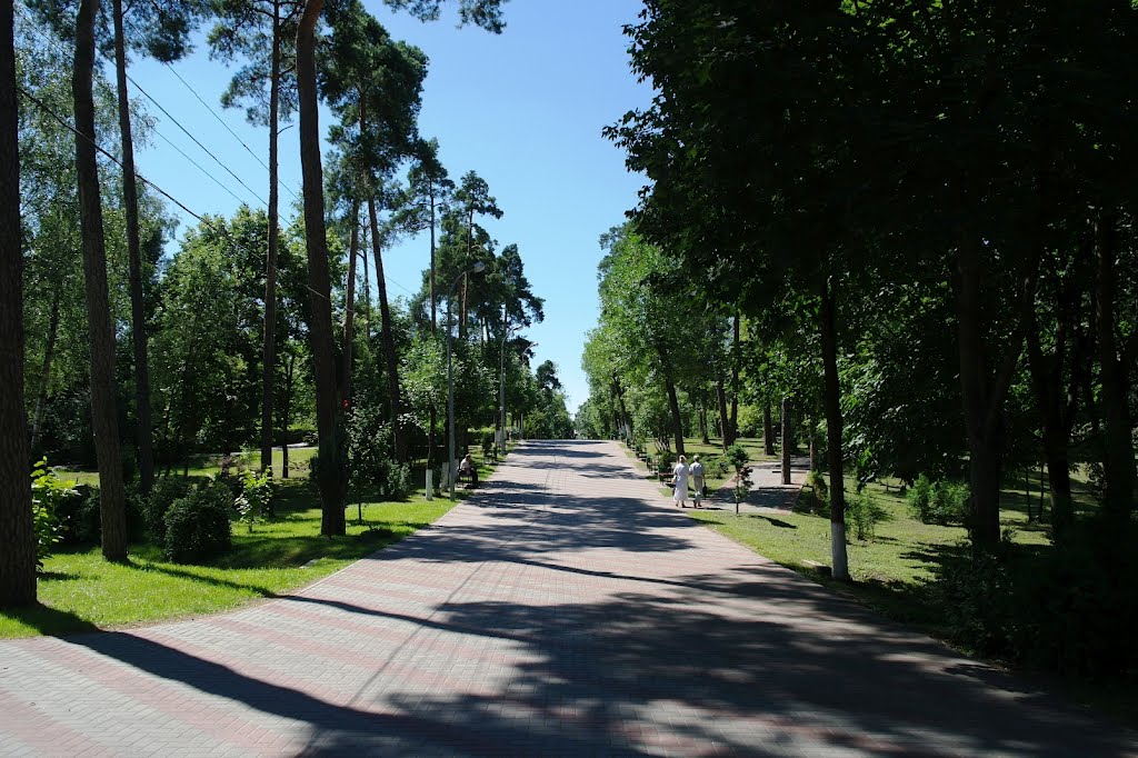 Дорожка в парке