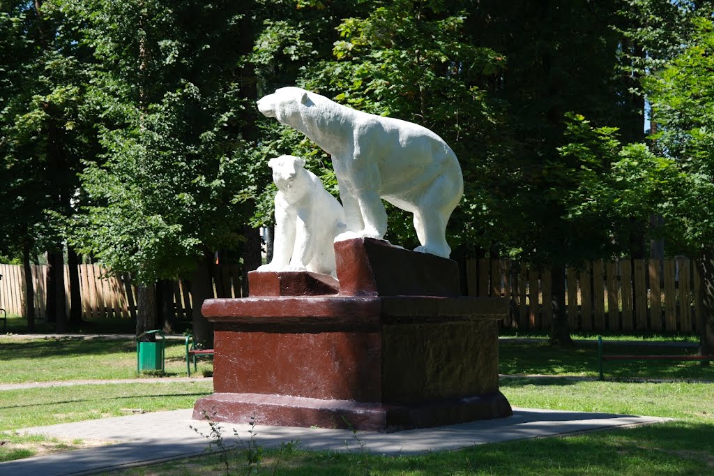 Медведи