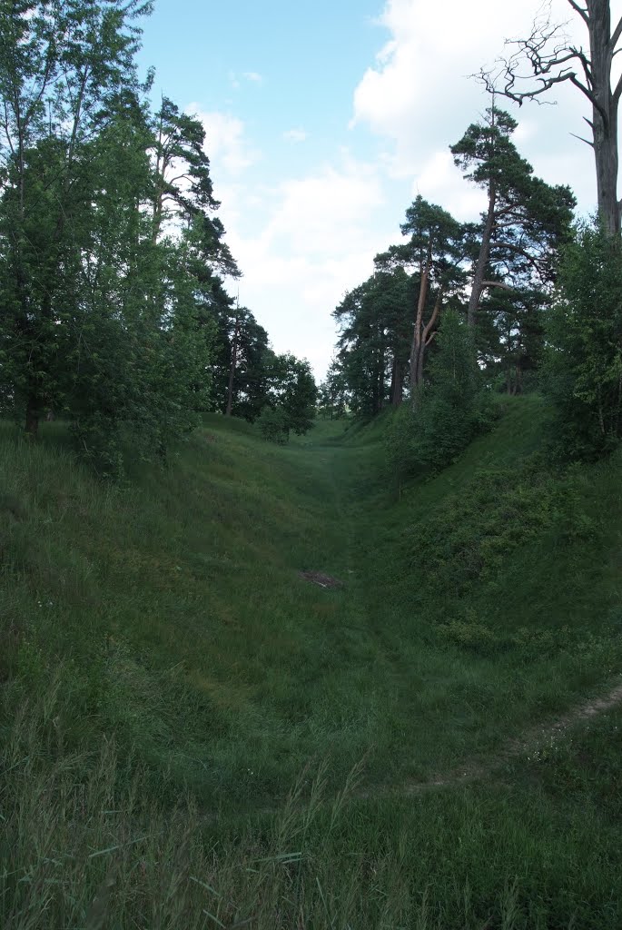Редуты