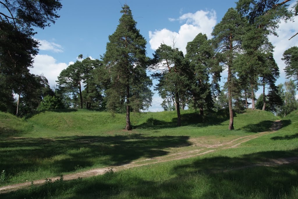 Остатки Борисовских редутов 1812г.