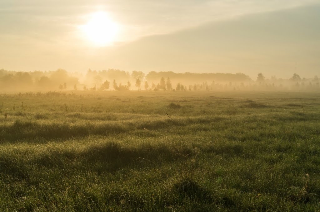 Ранiца ля Вiллянiнага хутара (Morning at the Farm Vilyana)