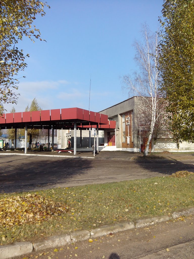 Пасадачная пляцоўка на аўтавакзале Вілейкі