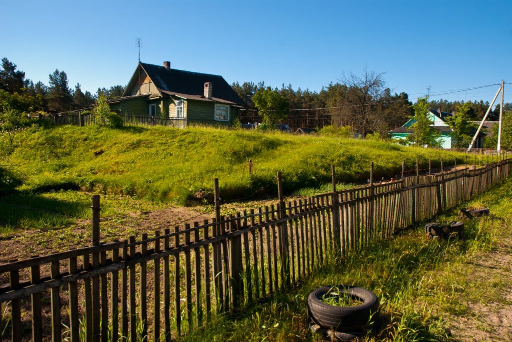 Vileyka / Belarus / 2010