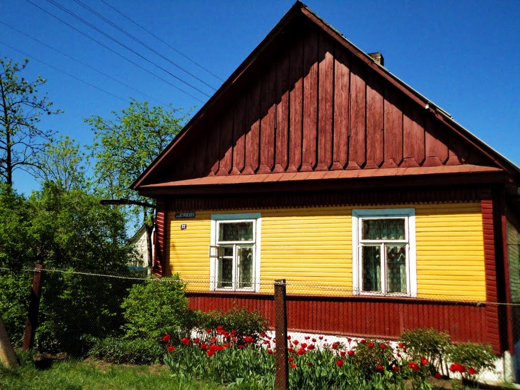 Деревенская жизнь в маленьком городе