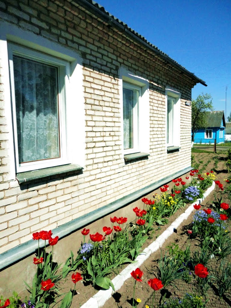 Весенние цветы