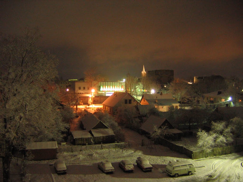 View of the castle from the window