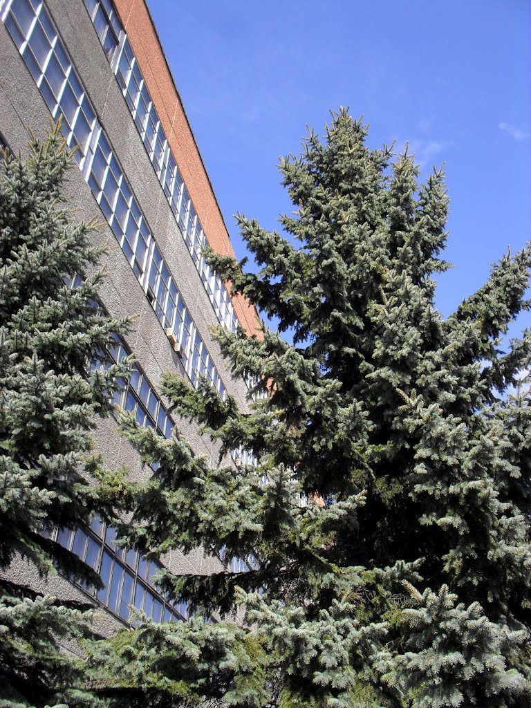 Вилейка, з-д Зенит
