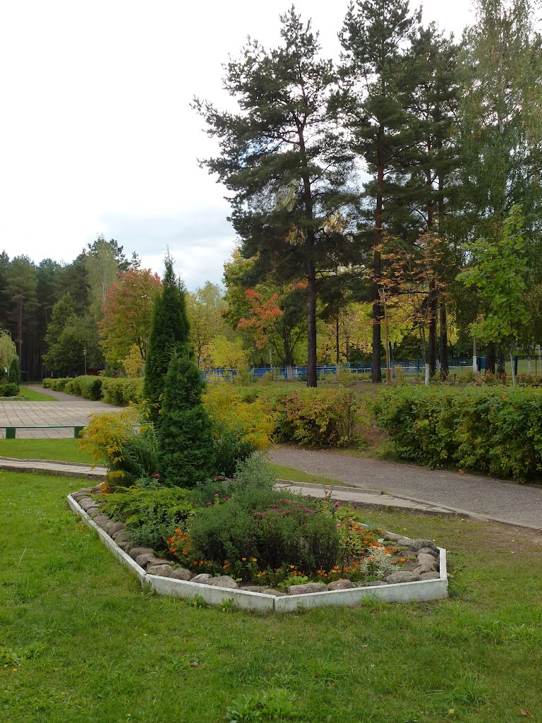 Дворик гимназии №2