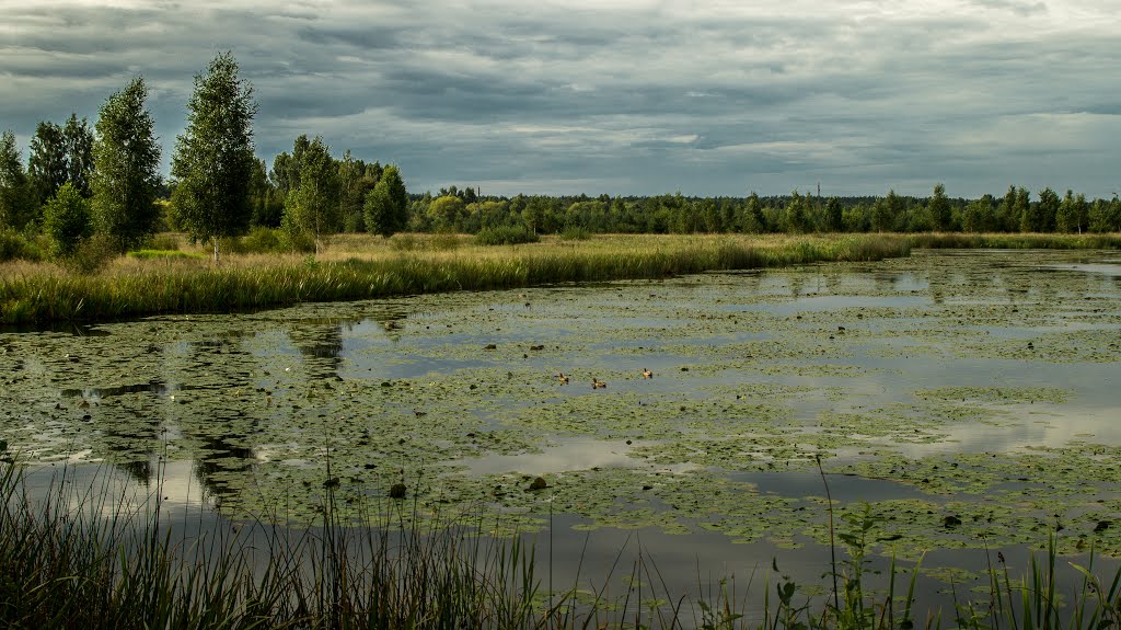 На Вiллянiным хутары (On the farm Vilyaninom)