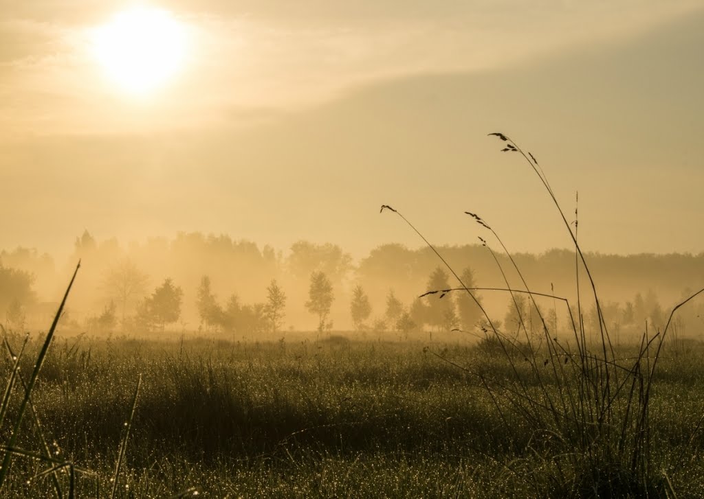 Ранiца ля Вiллянiнага хутара (Morning at the Farm Vilyana)