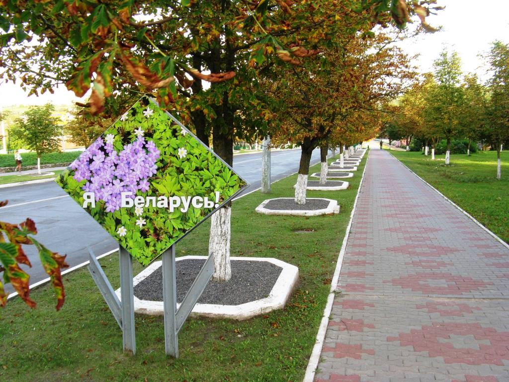 Я люблю Беларусь!