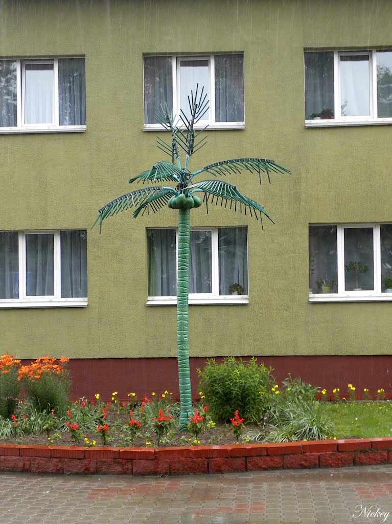 Valozhyn