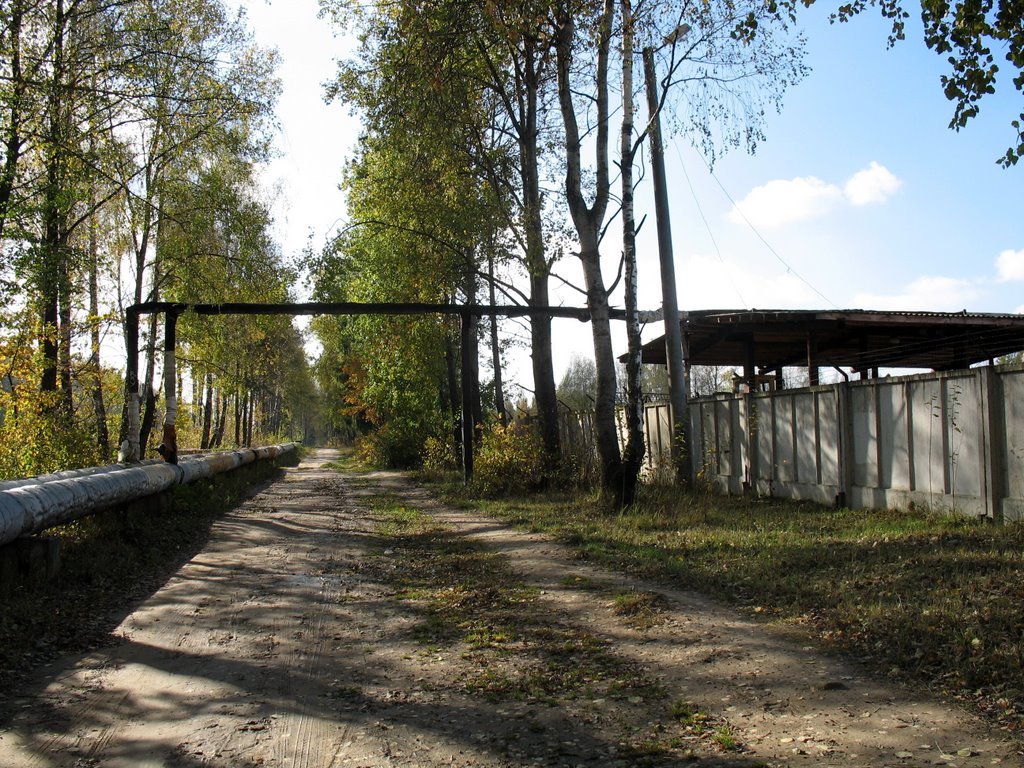 Осень