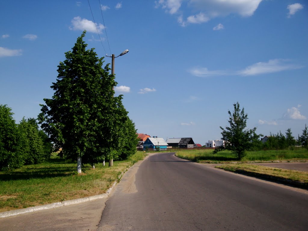 в поддубье