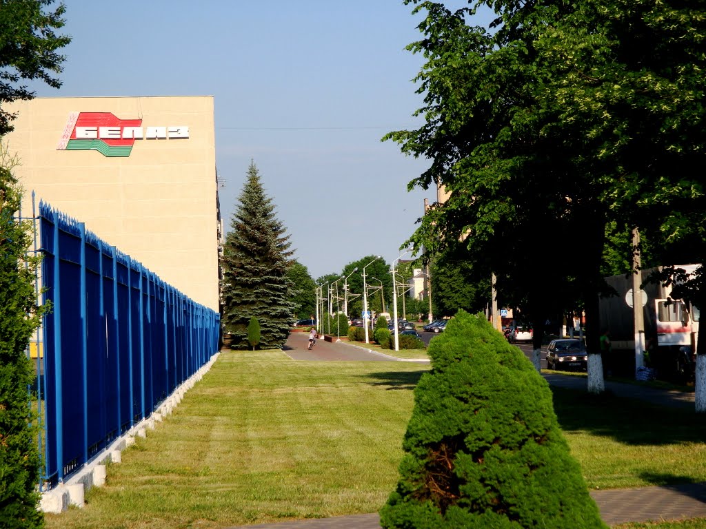 бел аз