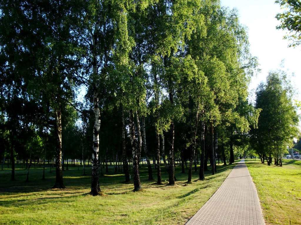 тротуар