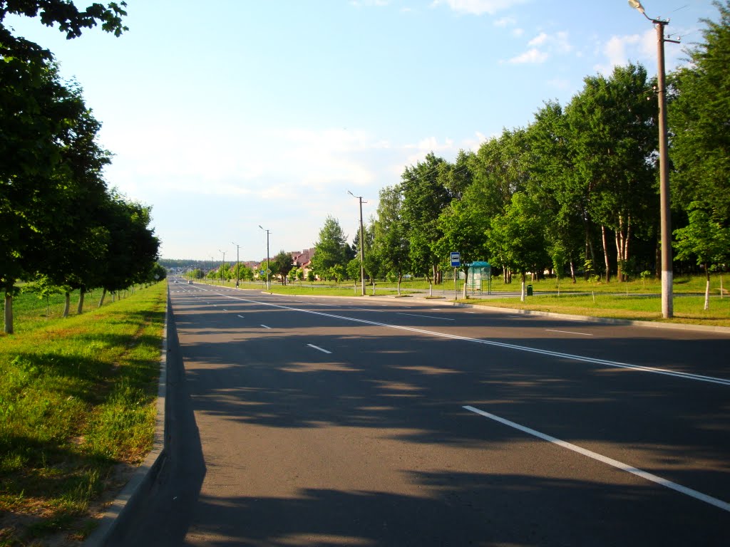 2011