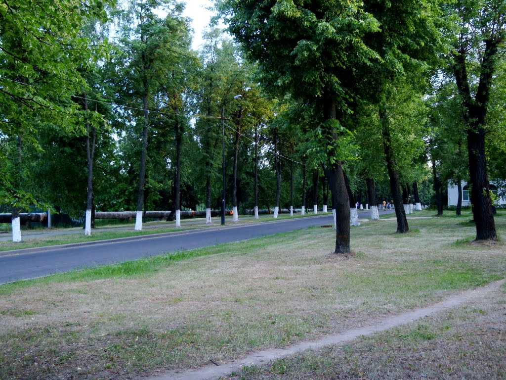 лебедевского