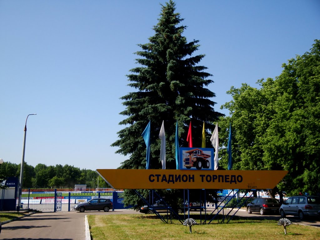 торпедо