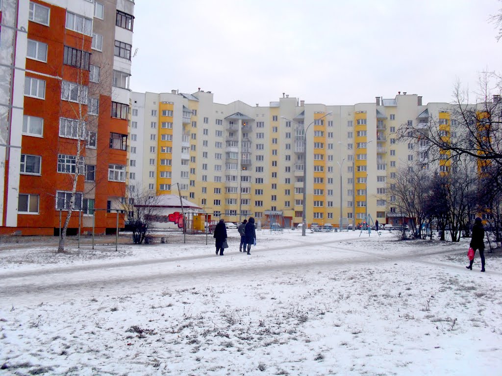 новый дворик научного