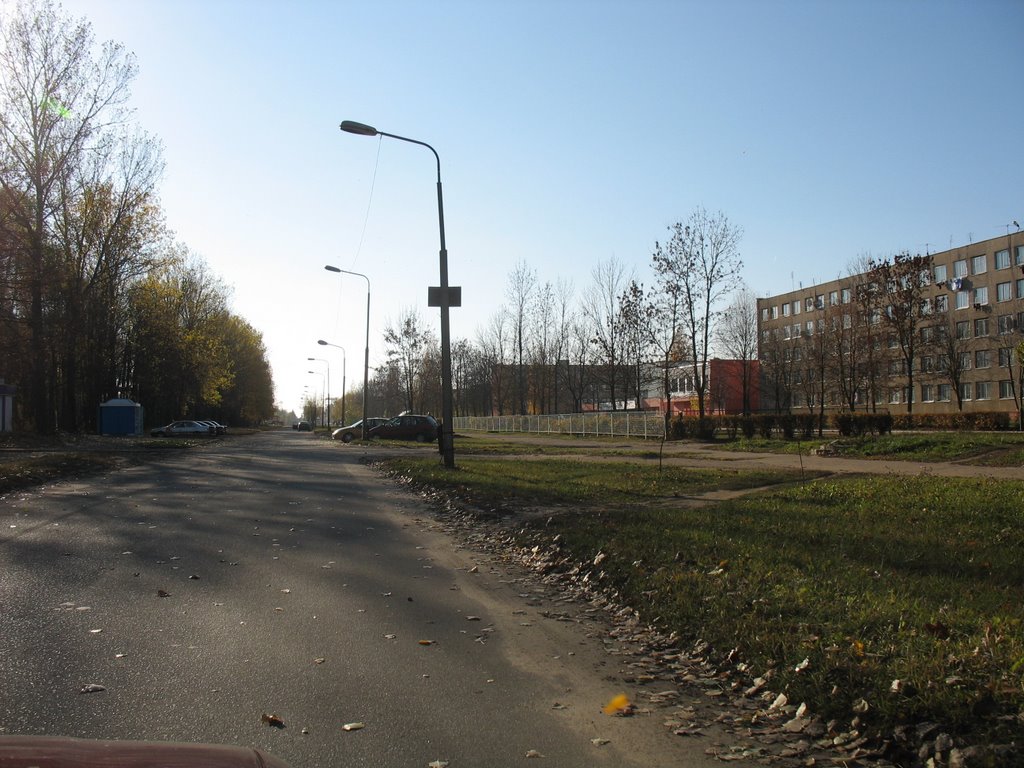 ПТУ(ныне профлицей)
