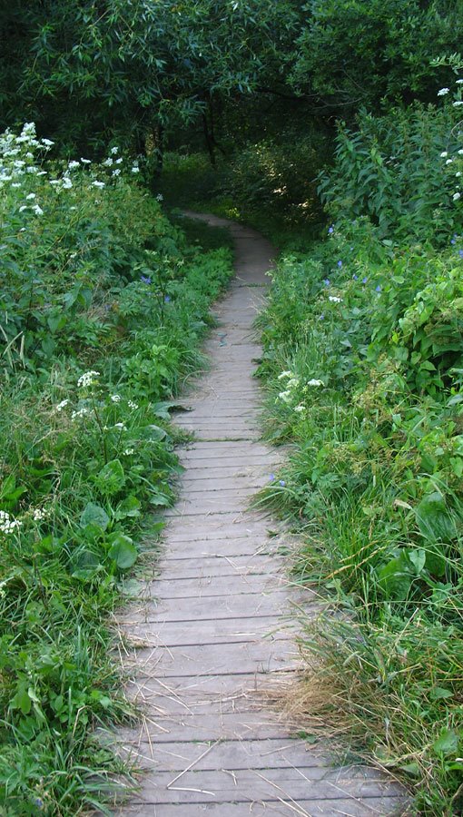 Wooden foot-walk in Zaslaŭje