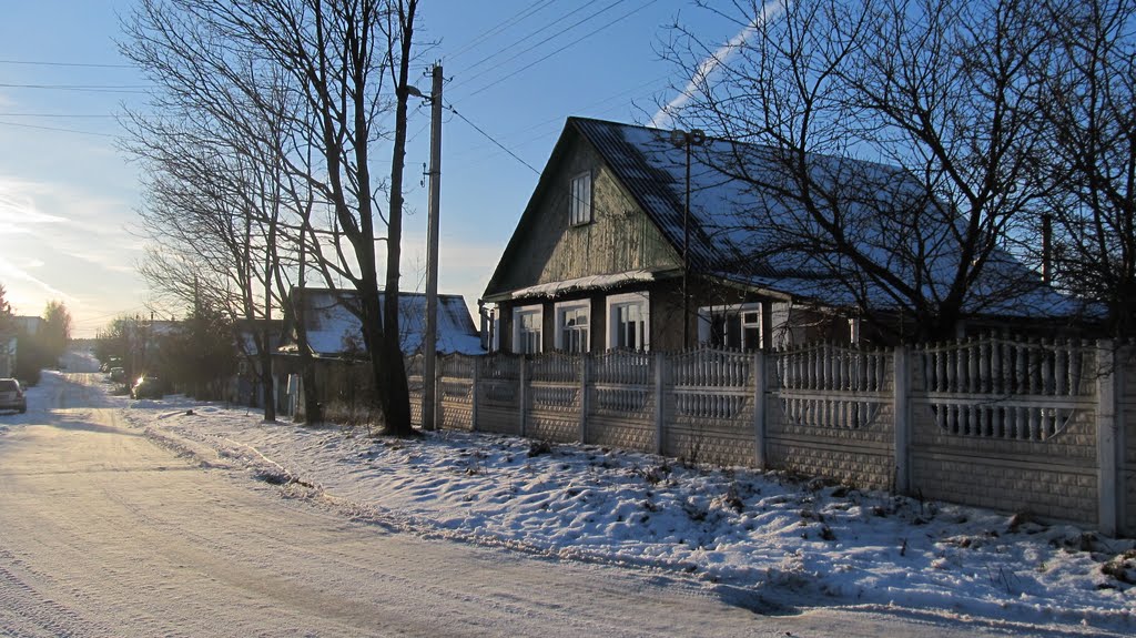 House on the Minskaya str.