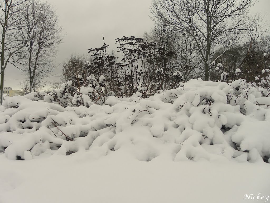 Winter in Zaslaue