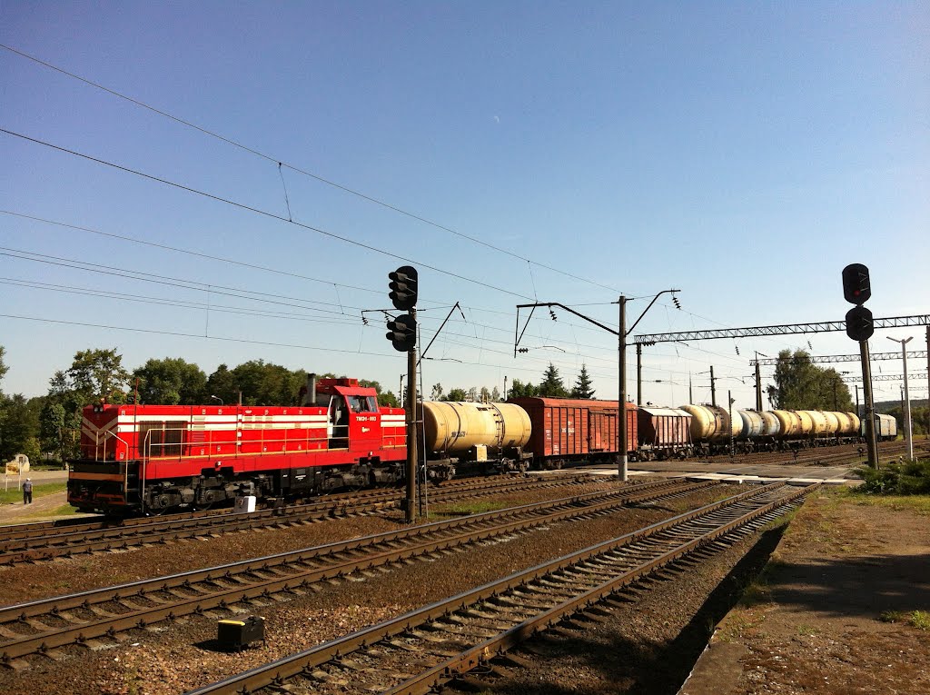 Freight train at Zaslavl.