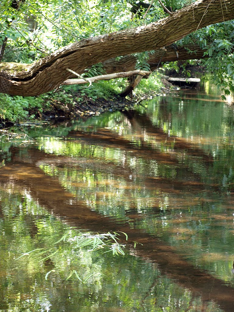Река. Отражение / River. Reflection