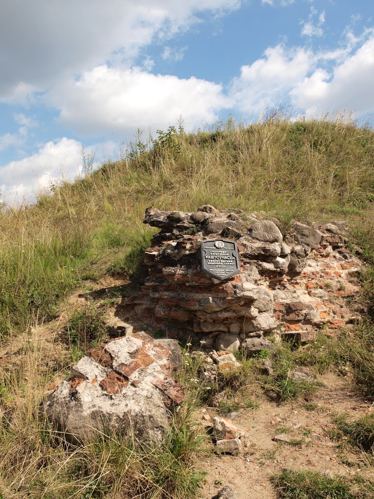 Остатки больших замковых ворот / Rest of a large castle gate