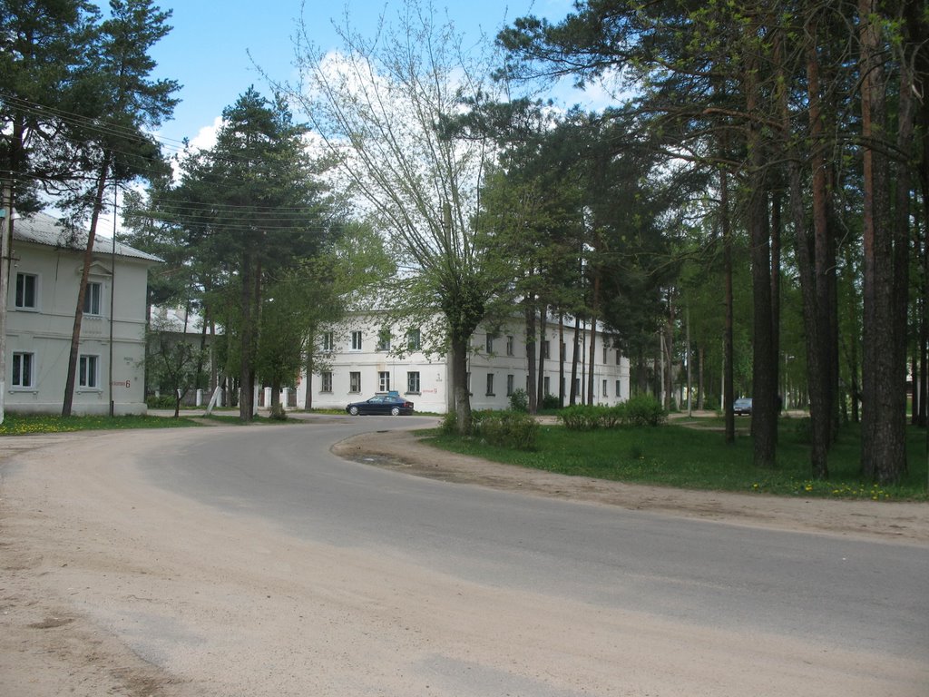 Зелёный Бор