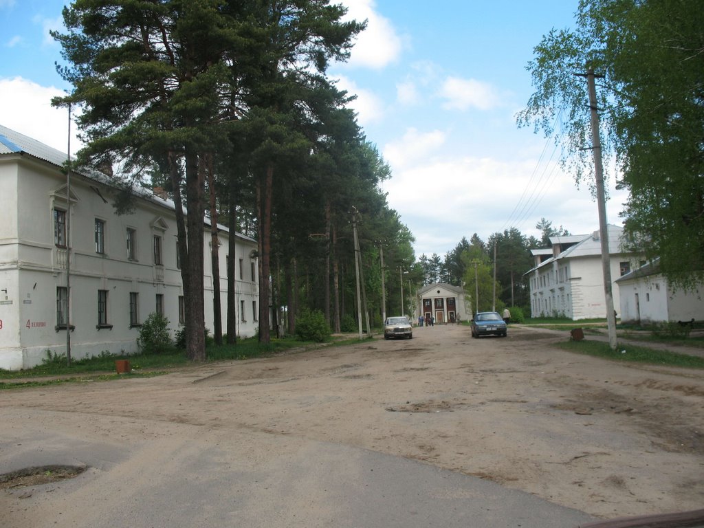 Зелёный Бор