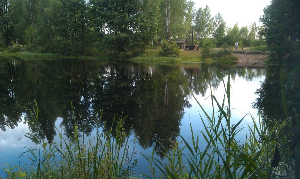 Зеленоборский бассейн!