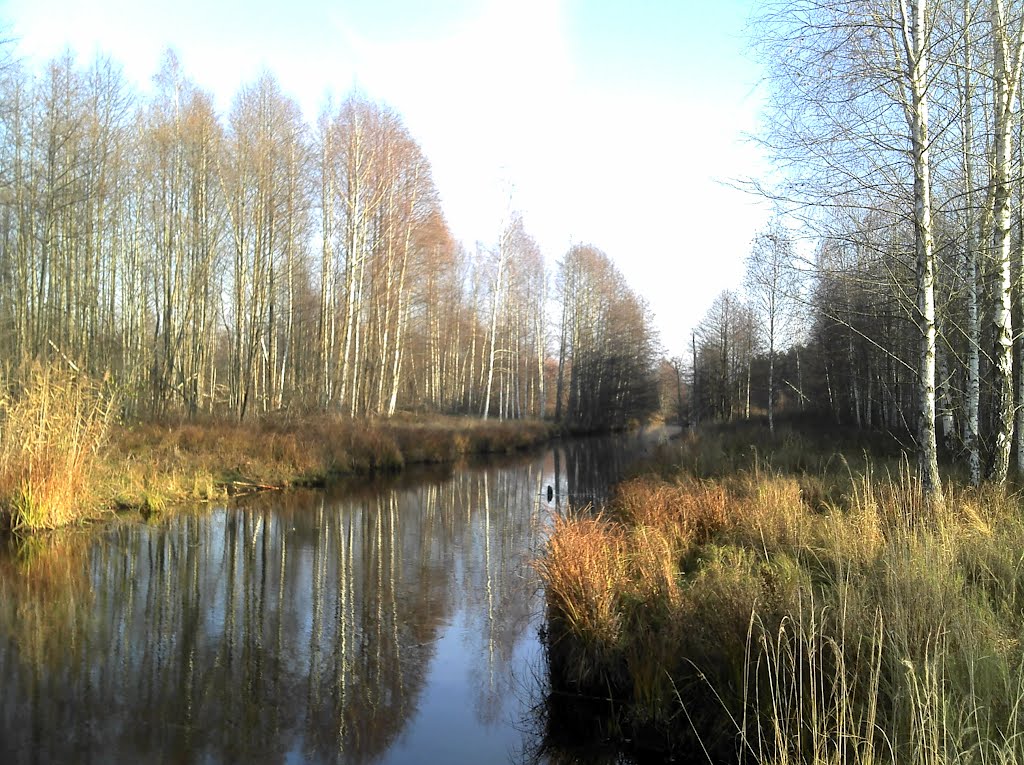 Центральная канава