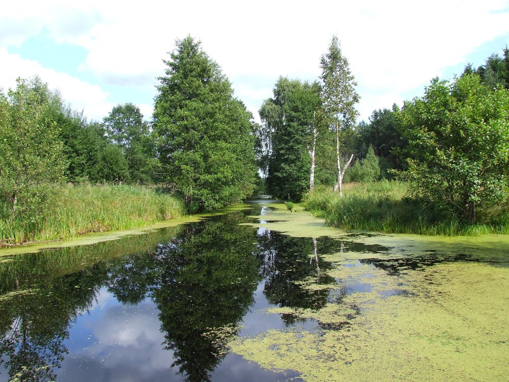 Вид с моста