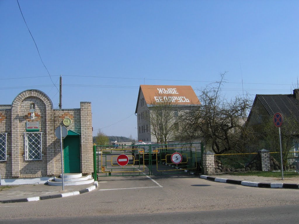 Žyvie Biełaruś, Ivianiec