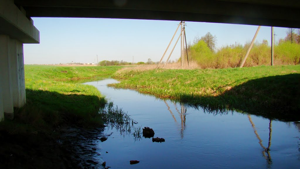 Лань